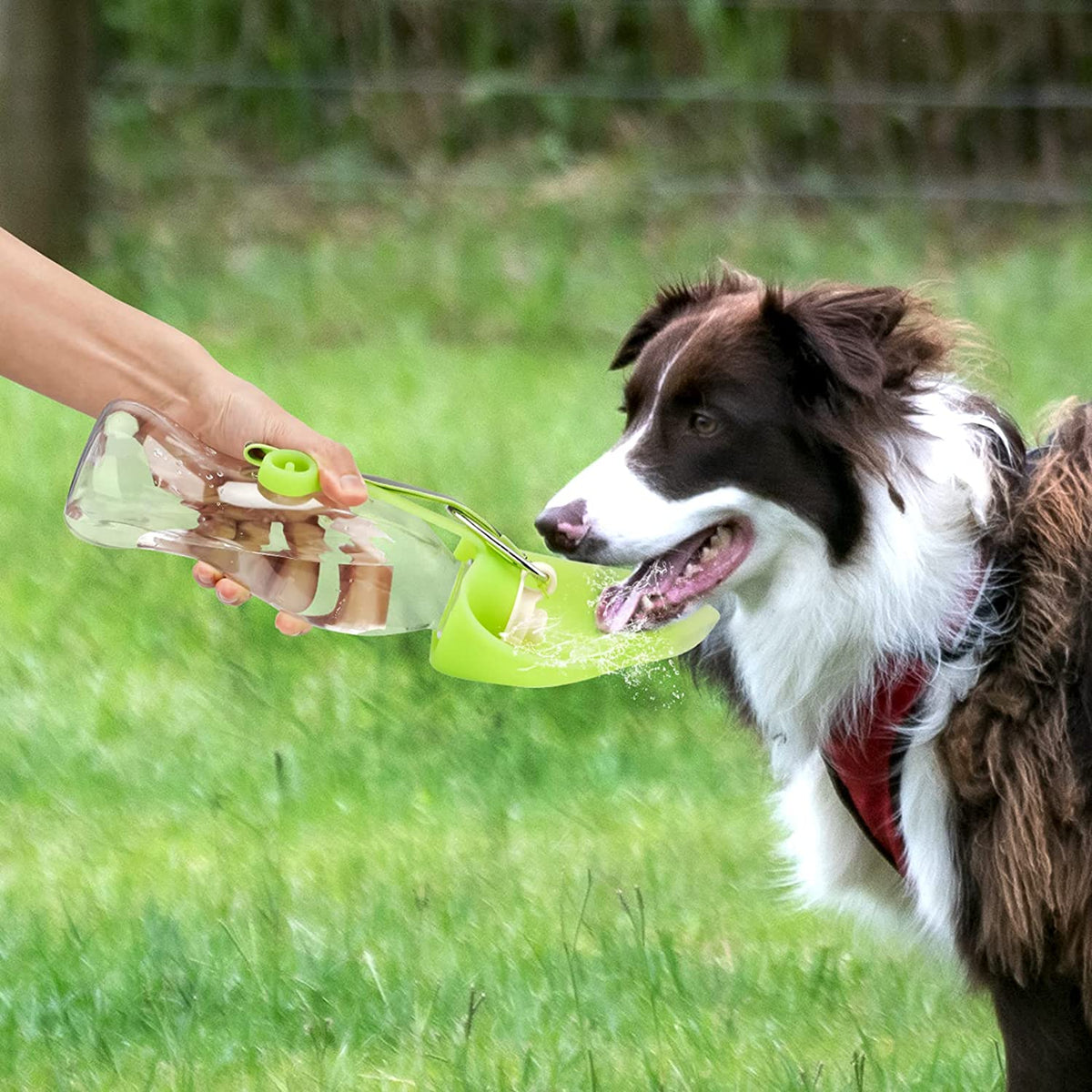Portable Pet Water Dispenser – Leak-Proof Travel Water Bottle