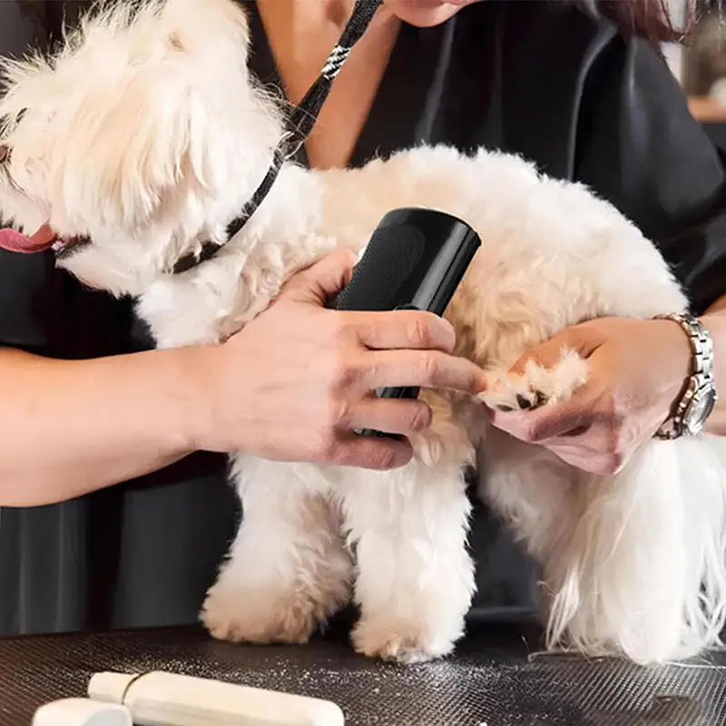 Professional Pet Deshedding Brush Multifunctional Pet Groom Brush